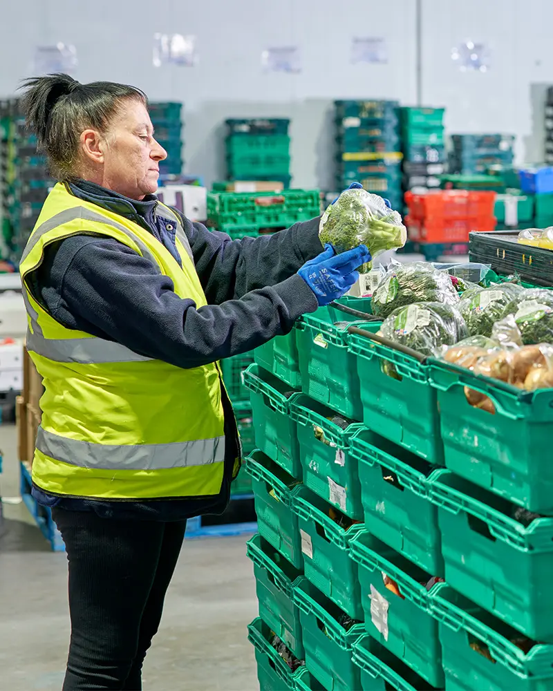 Female warehouse operative in a yellow high-vis jacket loading green crates with surplus broccoli.