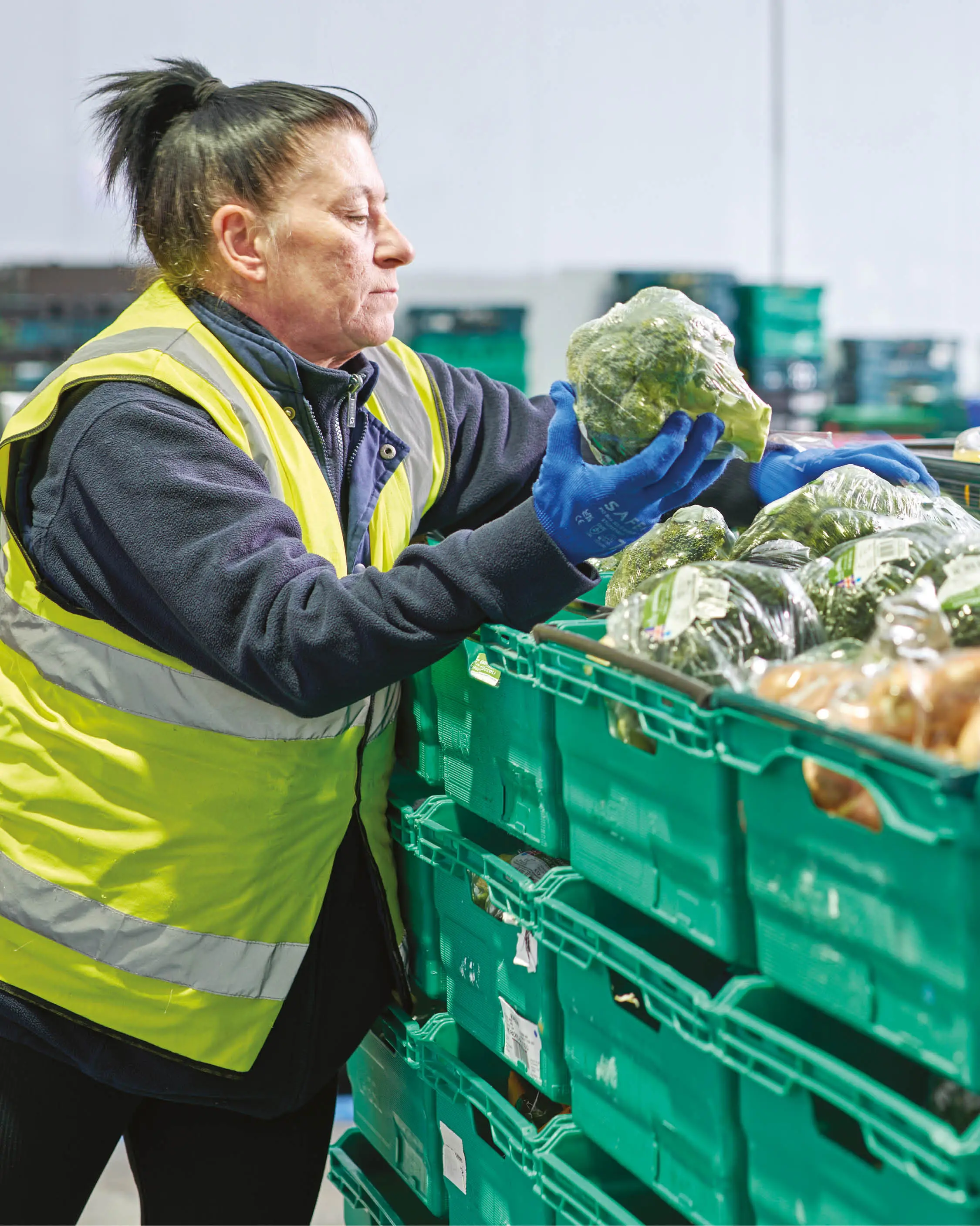 Female warehouse operative loading green crates with surplus broccoli.