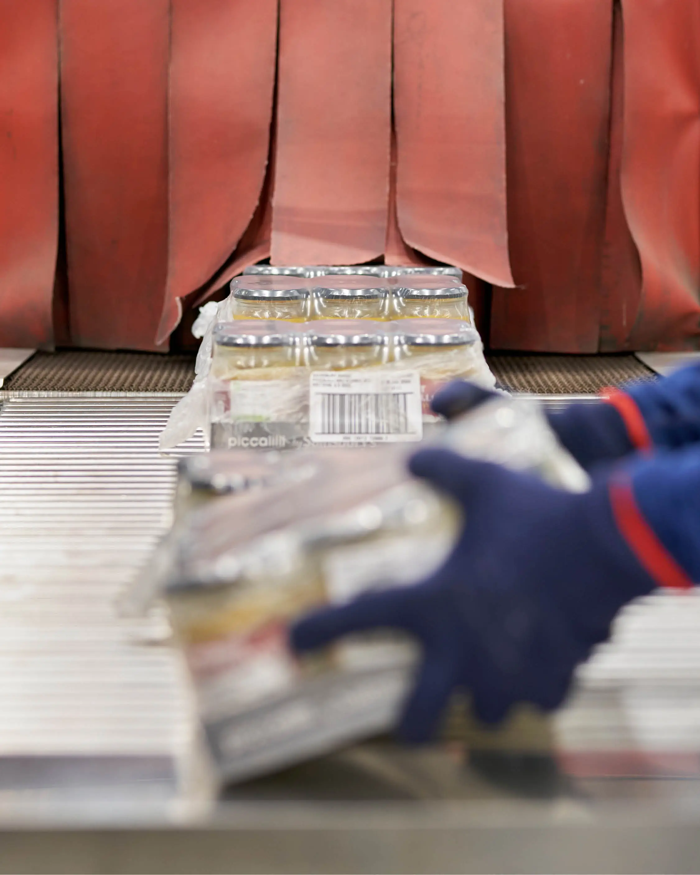 Jars of sauce wrapped in plastic are being placed onto a metal conveyor belt and passing through red conveyor skirting.